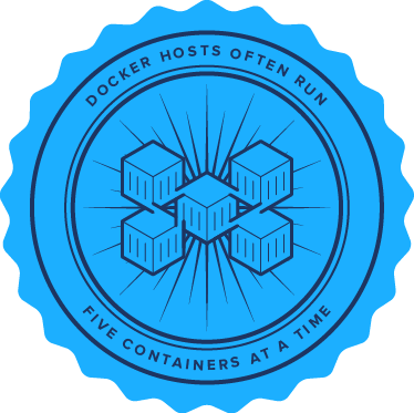 Docker postgres database