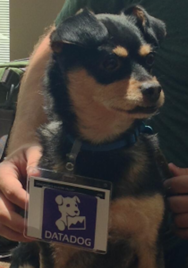 The real data dog at DevOpsDays